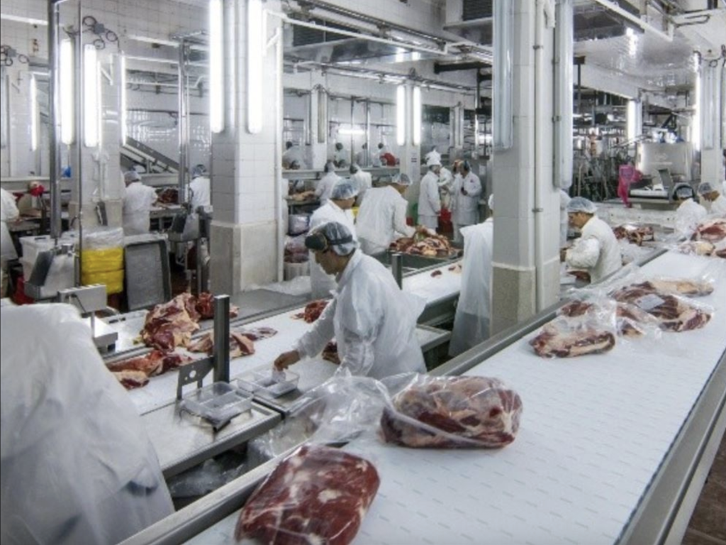 RAFAELA ALIMENTOS SA