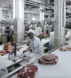 RAFAELA ALIMENTOS SA