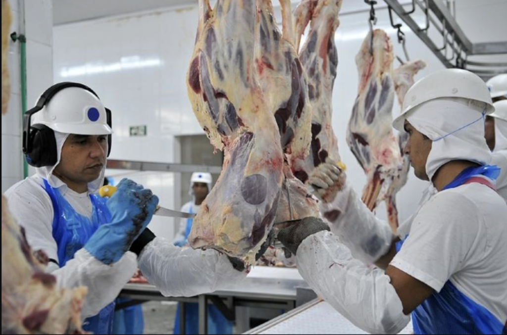 Argentina meat exporter