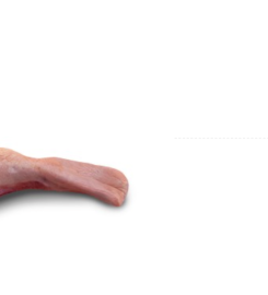 MENUDENCIAS DEL CENTRO SA