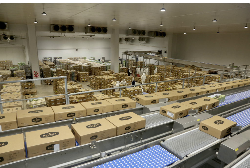 Establecimiento Frigorífico Azul SA (EFASA)