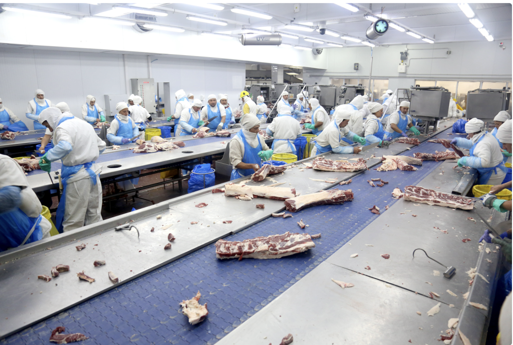 ESTABLECIMIENTO FRIGORIFICO AZUL SA (EFASA)