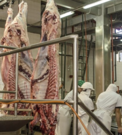 ESTABLECIMIENTO FRIGORIFICO AZUL SA (EFASA)