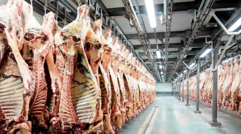 Establecimiento Frigorífico Azul SA (EFASA)