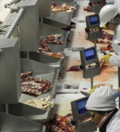 ESTABLECIMIENTO FRIGORIFICO AZUL SA (EFASA)