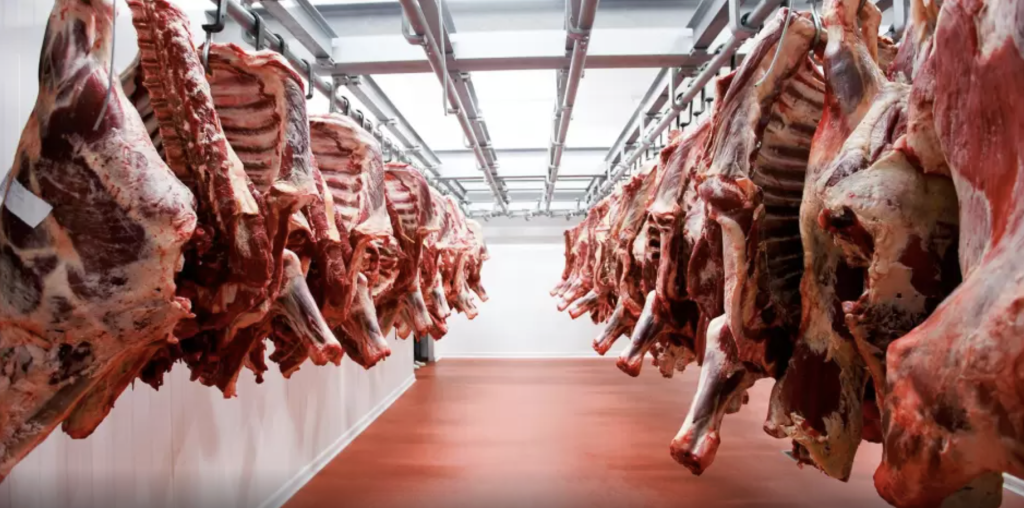 M. DODERO COMPAÑÍA GENERAL DE SERVICIOS SA