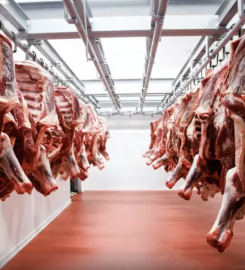 M. DODERO COMPAÑÍA GENERAL DE SERVICIOS SA