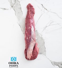 FRIGORIFICO GENERAL PICO SA