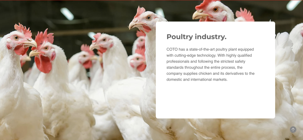 COTO CENTRO INTEGRAL DE COMERCIALIZACION SOCIEDAD ANONIMA