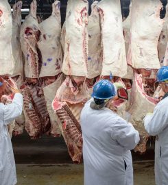 COTO CENTRO INTEGRAL DE COMERCIALIZACION SOCIEDAD ANONIMA