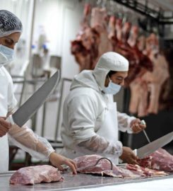 FRIGORÍFICO MANECA SA