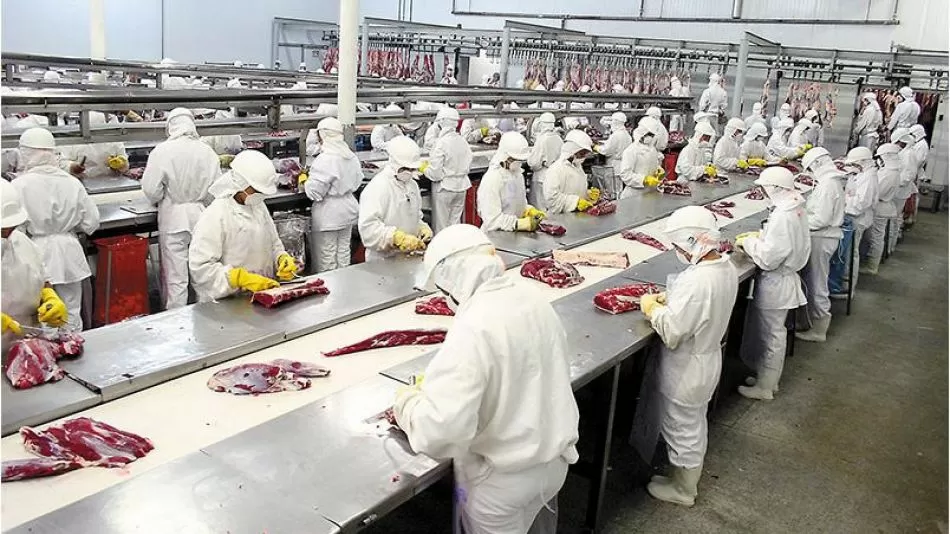 Industrias Frigorificas Sur S.A.