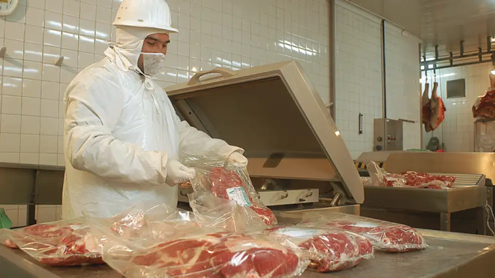 Industrias Frigorificas Sur S.A.