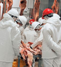 NESTOR TOMASELLO SRL