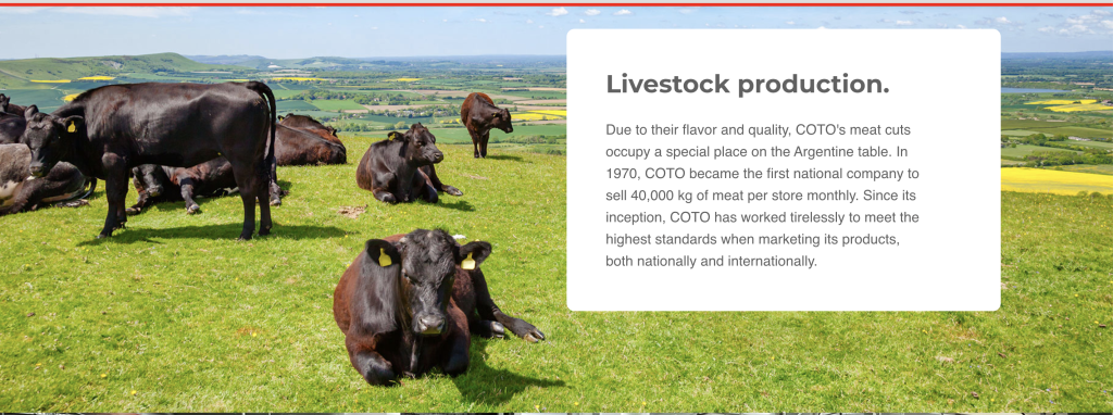 COTO CENTRO INTEGRAL DE COMERCIALIZACION SOCIEDAD ANONIMA