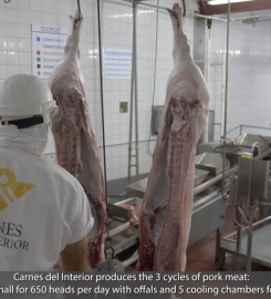 CARNES DEL INTERIOR SA