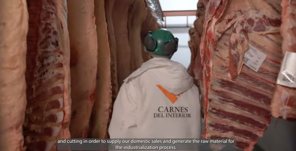 CARNES DEL INTERIOR SA