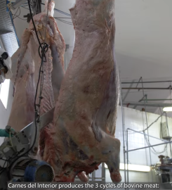 CARNES DEL INTERIOR SA