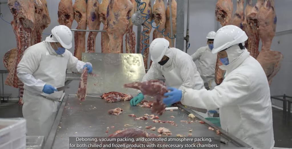 CARNES DEL INTERIOR SA