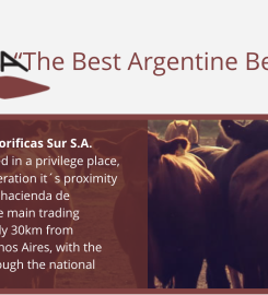 INDUSTRIAS FRIGORIFICAS SUR SA