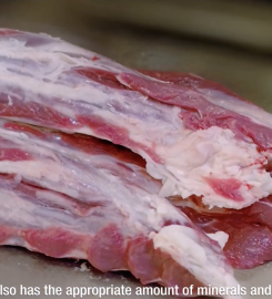 FRIGORIFICO ALBERDI SA.