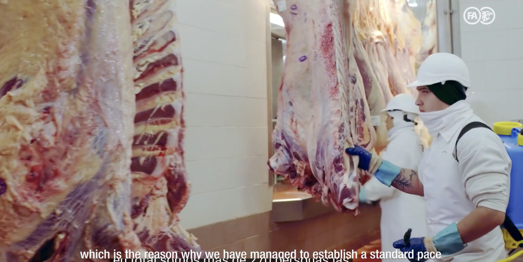 FRIGORÍFICO ALBERDI SA.