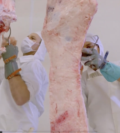 FRIGORIFICO ALBERDI SA.