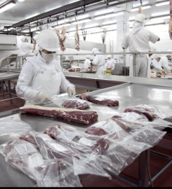 FRIGORÍFICO PALADINI SA