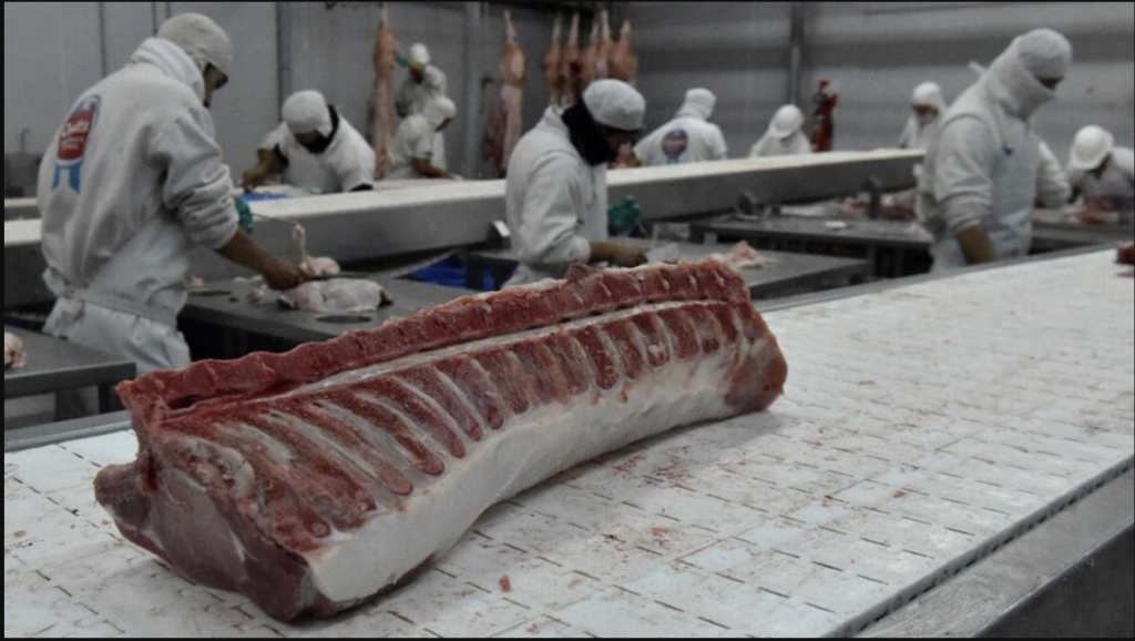 FRIGORÍFICO PALADINI SA