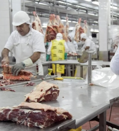 FRIGORÍFICO PALADINI SA