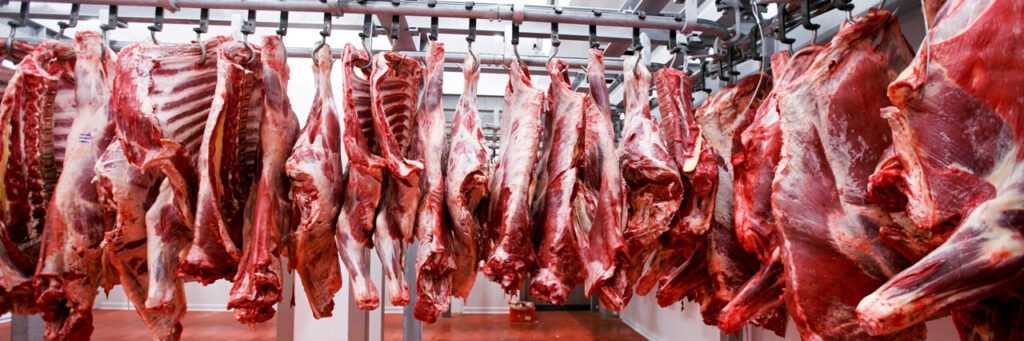 TOP MEAT SA. ARGENTINA MEAT