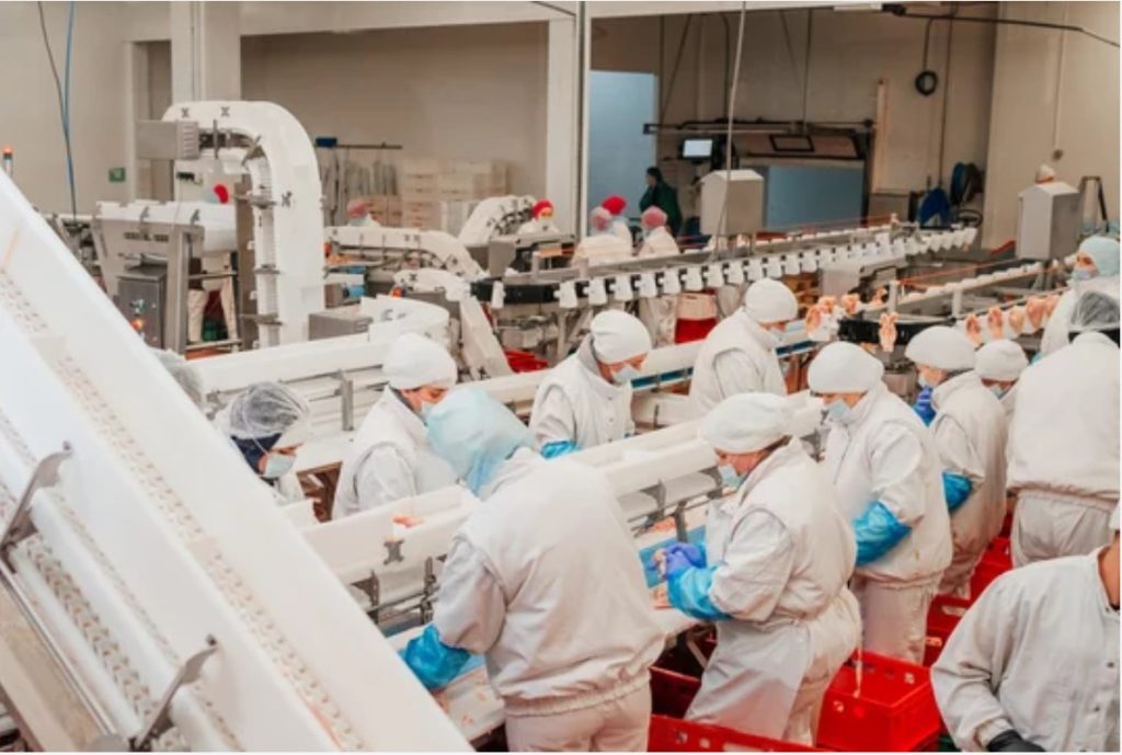 Frigorifico AMANCAY S.A.I.C.A.F.I