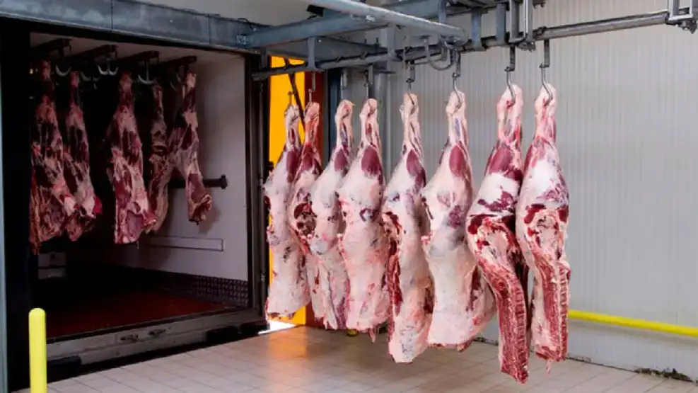 INDUSTRIAS FRIGORIFICAS SUR SA