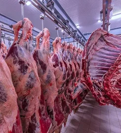 INDUSTRIAS FRIGORIFICAS SUR SA