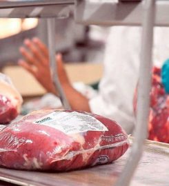 INDUSTRIAS FRIGORIFICAS SUR SA