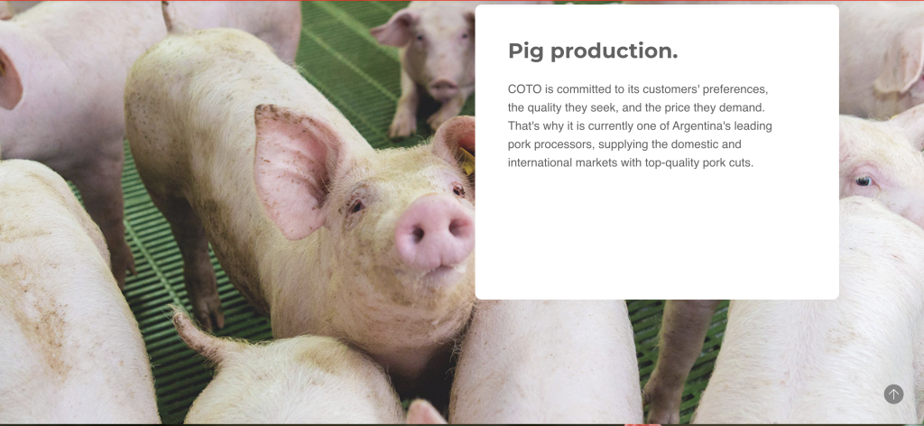 COTO CENTRO INTEGRAL DE COMERCIALIZACION SOCIEDAD ANONIMA