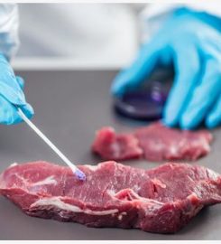 SANTA FAZ SOCIEDAD ANONIMA