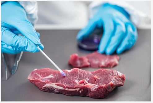 SANTA FAZ SOCIEDAD ANONIMA