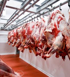 FRIGORIFICO REGIONAL INDUSTRIAS ALIMENTICIAS RECONQUISTA SA