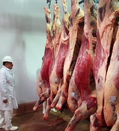 FRIGORIFICO VISOM SA