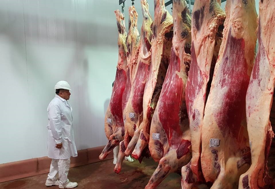 FRIGORIFICO VISOM SA