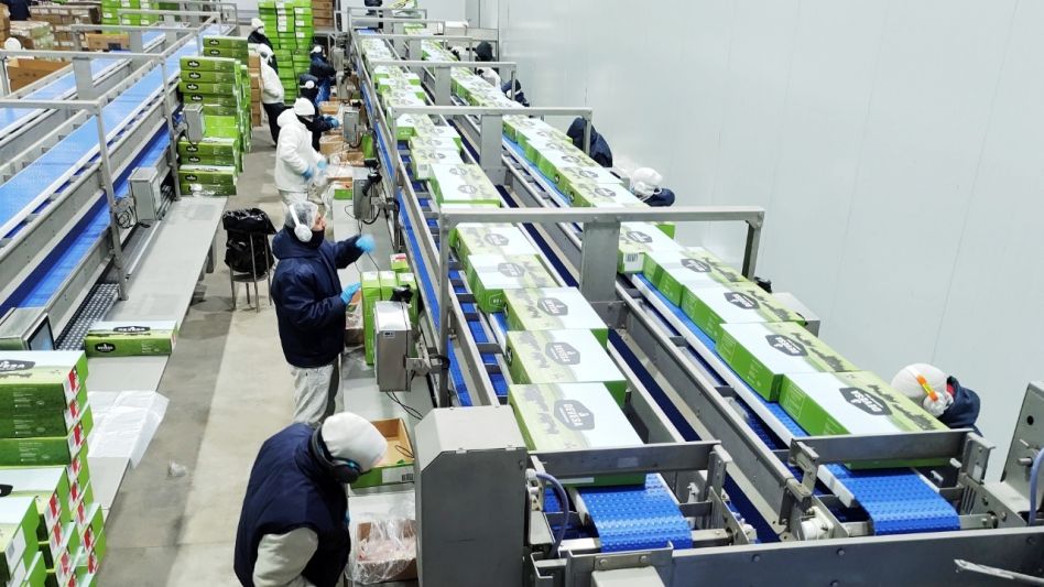 AZUL NATURAL BEEF SA