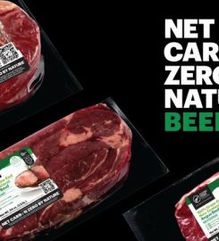 Silver Fern Farms Limited –Pareora