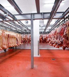 LA GANADERA ARENALES SA