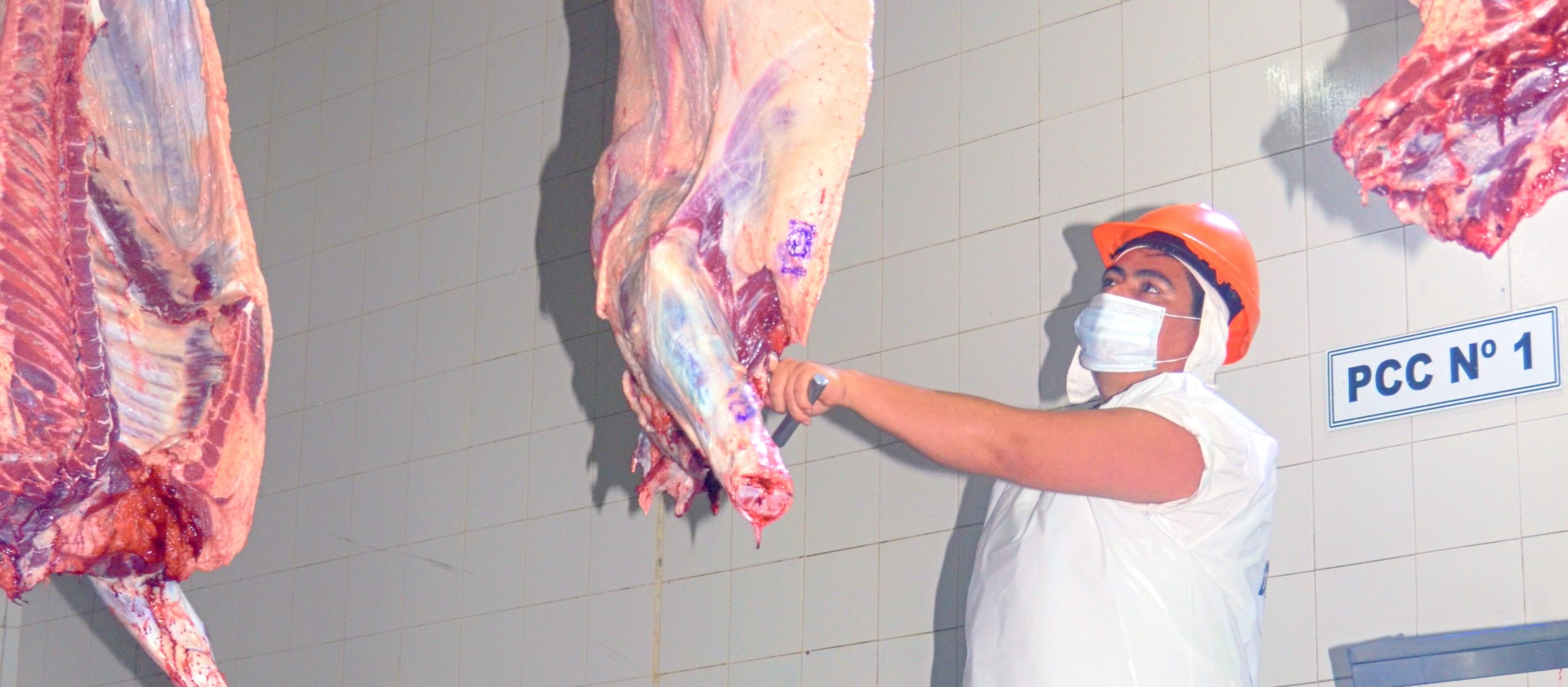 FRIGORÍFICO FORRES-BELTRÁN SA