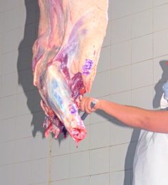 FRIGORÍFICO FORRES-BELTRÁN SA