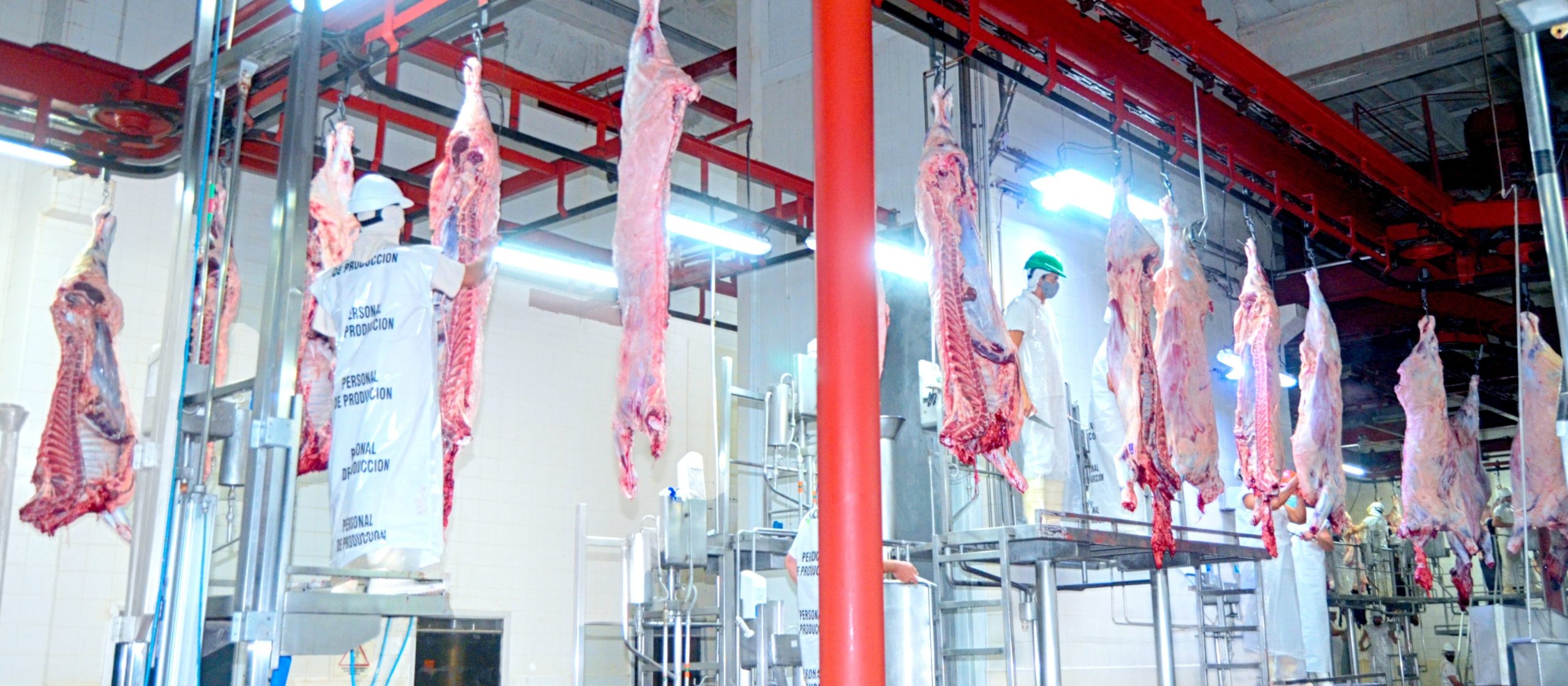 FRIGORÍFICO FORRES-BELTRÁN SA