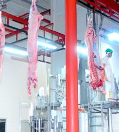 FRIGORÍFICO FORRES-BELTRÁN SA