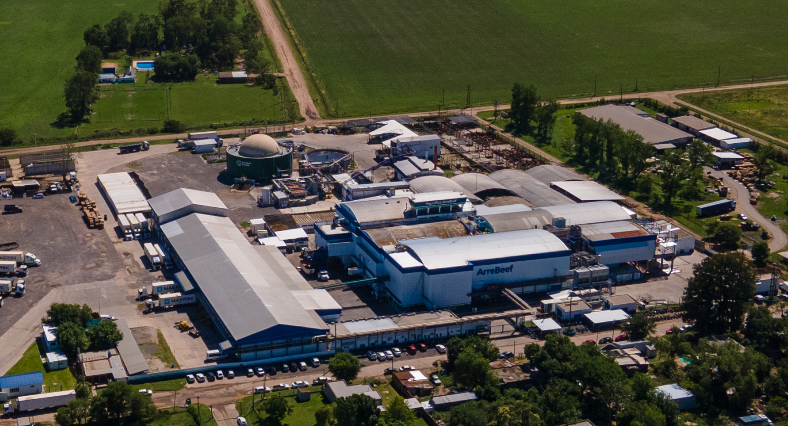 ARRE BEEF SA