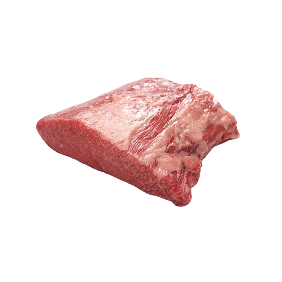 PAMPLONA ALIMENTOS S/A